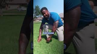 Save Money Watering Your Lawn