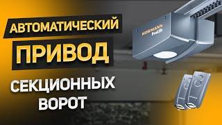 В чем разница? Выбираем автоматический привод секционных ворот HORMANN