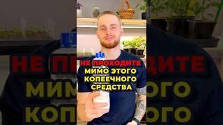 Удобрение, инсектицид и дезинфектор в одном флаконе!