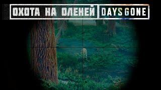 ОХОТА НА ОЛЕНЕЙ / ПРОХОЖДЕНИЕ DAYS GONE