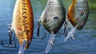 Rapala "LIVE" series of crankbaits