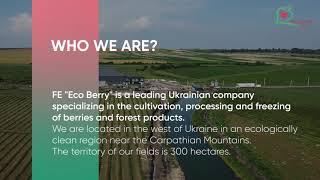 FE «Eco Berry» - is only quality and ecological products right from the field for you.