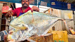 KASIMEDU  SPEED SELVAM | BIG DIAMOND TREVALLY FISH CUTTING VIDEO | IN KASIMEDU | FF CUTTING 