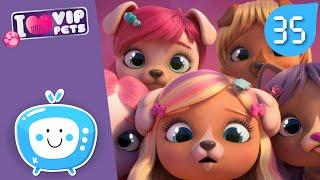  COIFFURE STYLÉE  VIP PETS  ÉPISODES COMPLETS  DESSIN ANIMÉ pour ENFANTS en FRANÇAIS