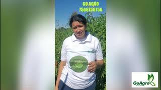 Contract Farming | Advanced Agriculture | Go Agro