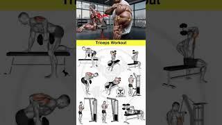5 Secrets Top Trainers Use for Effective Triceps Training
