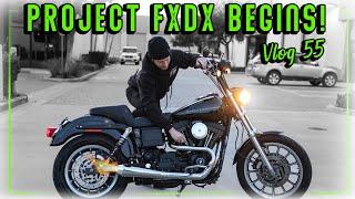 Project FXDX Begins! Carburetors & Straight Pipes!! Vlog 55