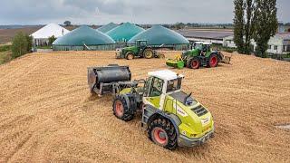 4K | BIG CORN SILAGE 2022 - 4x Tatra, 3x Fliegl ASW, 4x Fendt, 2x Claas Jaguar 870, Axion & Torion