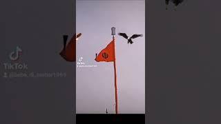 #babedimehar #gurunanakdarbar #goldentemple #gurbani #viral_video #waheguru_ji #bmk #Eagle #gurbani