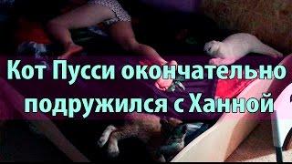 Рысь играет с котом, спит с ним и вообще они отлично ладят