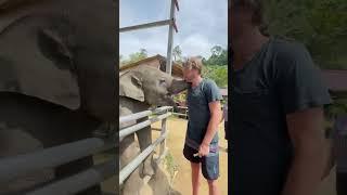 Feeding a baby elephant rescue was the highlight of my year!!