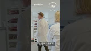 Derfor fungerer Acceleroot® Hair Growth Oil – Forklart av dermatolog | Klinisk dokumentert effekt