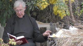 Mischievous cat steals Dean of Canterbury’s pancake during morning prayer