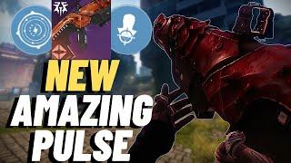 This NEW Pulse Rifle Is AMAZING (God Roll Guide)