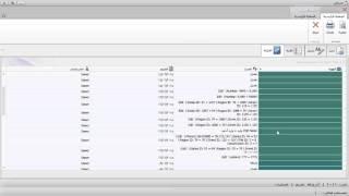 008 005 DataGrid - (Conditional Formatting) - User - Data Bars - Color Scales - Icon Sets Rules