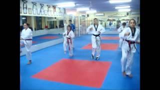 The taekwondo dance(Cho Elite)