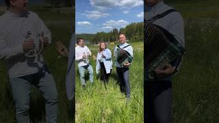 Гуляй да пой! Есаул молоденький – ПТАШИЦА под гармонь #пташица #песниподгармонь #гармонист