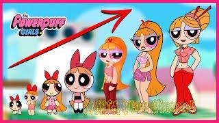 The Powerpuff Girls GROWING UP Compilation @WANAPlus