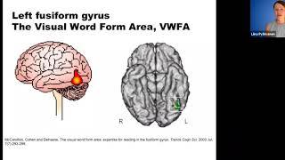 5-2 READING: Visual Word Form Area (23mins)