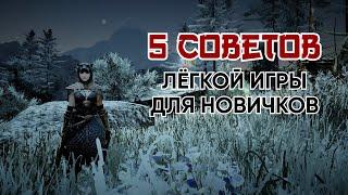 5 советов новичкам Black Desert