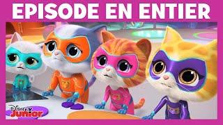 SuperChatons - Moment magique : Des friandises en folie