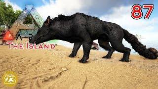 ARK The Island - Andrewsarchus YES! |#87| Let's Play Gameplay Deutsch German