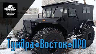 Подробный обзор Вездехода Тундра Восток Про