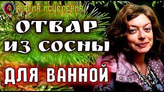 Ванна из отвара хвои сосны для суставов | Иголки сосны применение, свойства сосновых иголок