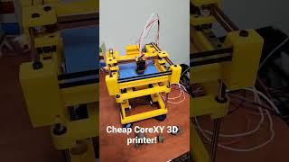 Cheap CoreXY 3D Printer!