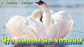 Что имеем, не храним, потерявши - плачем, автор Лана Свет. Читает Светлана Светлая.