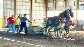 Will it be a Blue Ribbon Day?! // First HORSE PULL of 2025!!  #818