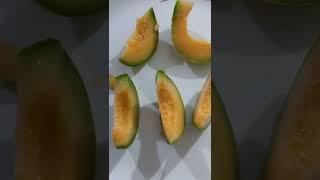 Sweet Melon #aliceworld #sweetmelon #fruits #food #fruitcutting #alice #indianfruits #shortvideo