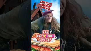 Как настроение с утра?С Добрым утром и хорошим днем! Веселого дня и отличного настроения #юмор