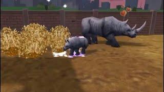 Zoo tycoon 2 black rhino giving birth