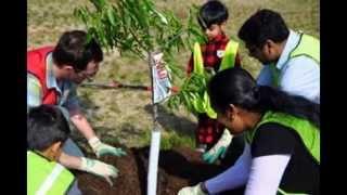 green world foundation ..we all planting more trees to create pollution free green world