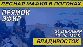 Лесная МАФИЯ в погонах