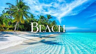 Tropical Beach 4K Relaxation Film - Расслабляющая фортепианная музыка - естественный пейзаж