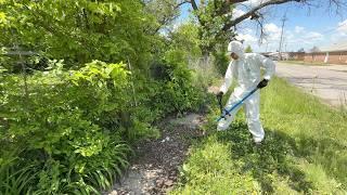 I Took a RISK Cleaning This Yard and Could’ve Ended Up in the Hospital