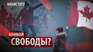 Куда двинется "конвой свободы"? // Начистоту