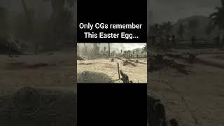 Only OGs remember this Easter Egg... #callofdutyshorts #easteregg #OGs