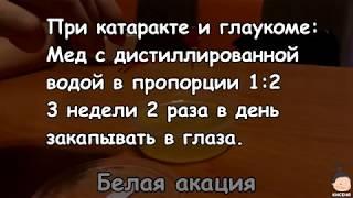 Применение меда из белой акации в народной медицине