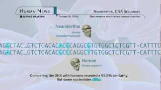 Science Bulletins: Neanderthal DNA Sequenced