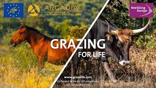 Grazing for Life | Supporting extensive grazing for climate adaptation and biodiversity