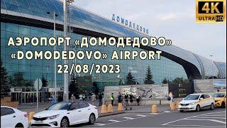 Аэропорт «Домодедово». 22 августа 2023. 4К