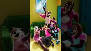 Fluffy Runs to Big Sis in Fear… What’s Going On?!