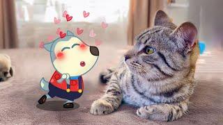 Aww !! Wolfoo Wants To Kiss Cute Kitten  Wolfoo in Real Life | Funniest Cats And Dogs