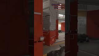 Another Ace On Nuke! #shorts #gaming #cs2 #csgo #MP9 #Premier