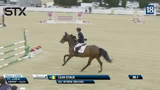 BP Royal Tara - Sunshine Tour - CSIYH 6yo