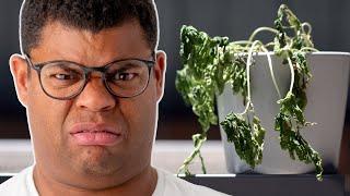 The Trick to Keep Your Indoor Plants Alive | Problem Solved