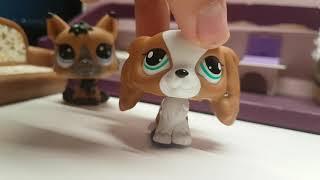 .Собачья кухня LPS.  1 серия. littlest pet shop.  сериал